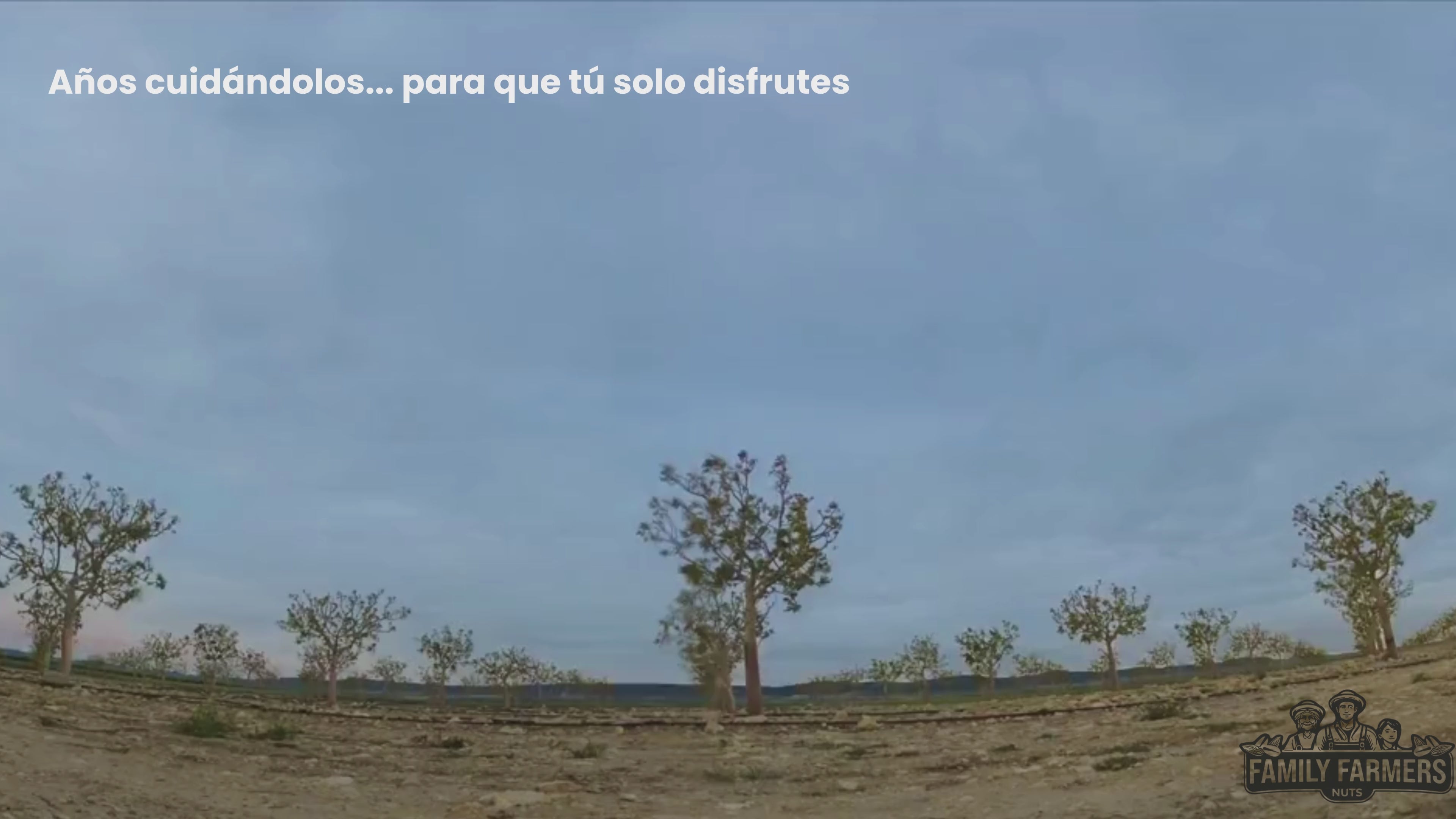 Cargar video: 